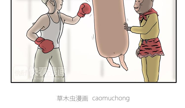 绘心社是什么漫画,拳击私教4图