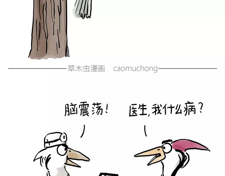 彗新易校漫画,啄木鸟看病4图