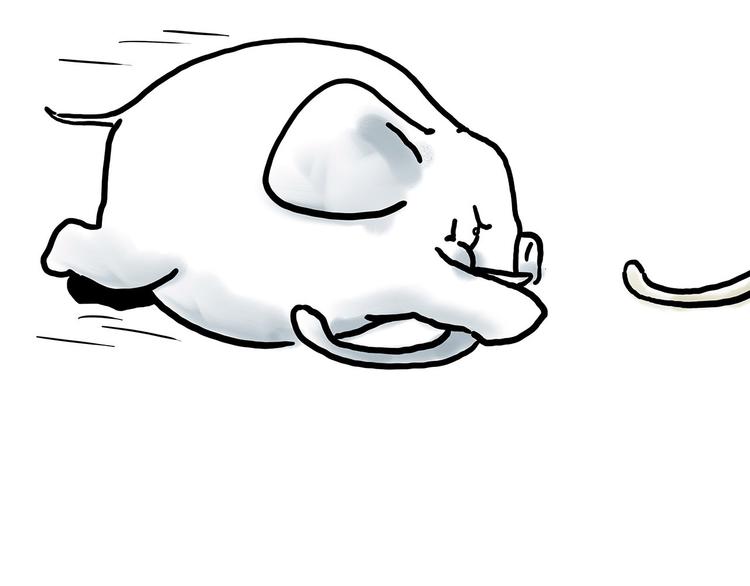 漫画会心一笑漫画,舞狮迎新年4图