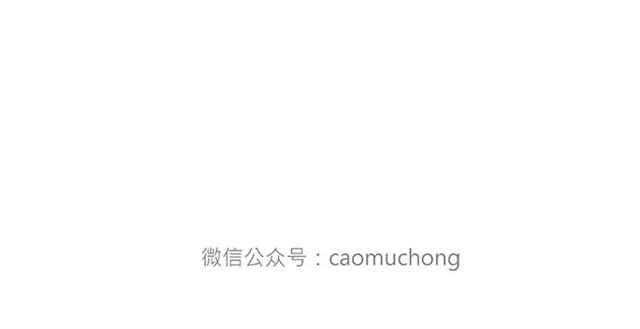 绘心绘意青春魅力手抄报漫画,师傅当模特4图