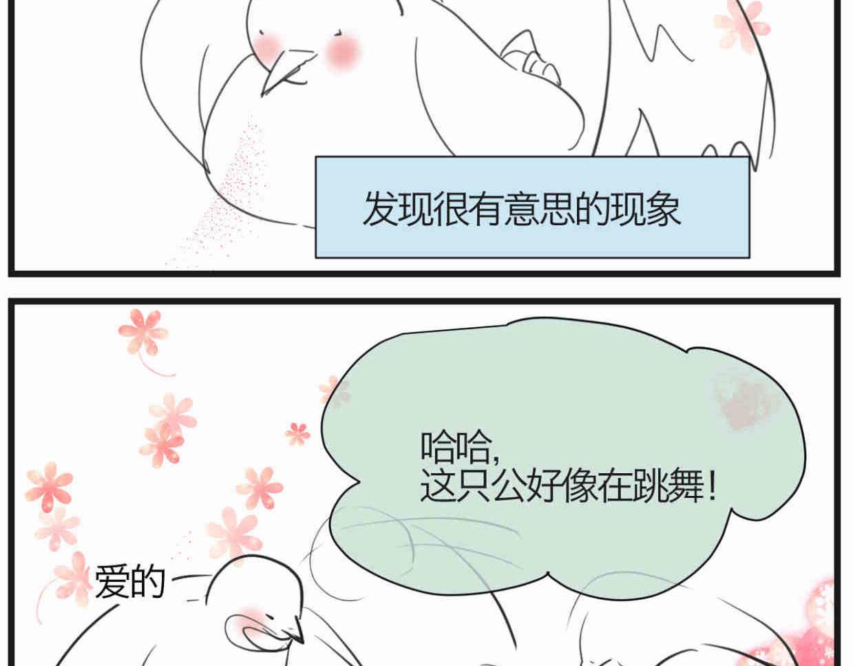 第一次做妈妈过生日发朋友圈漫画,119.小鸡的爱情2图
