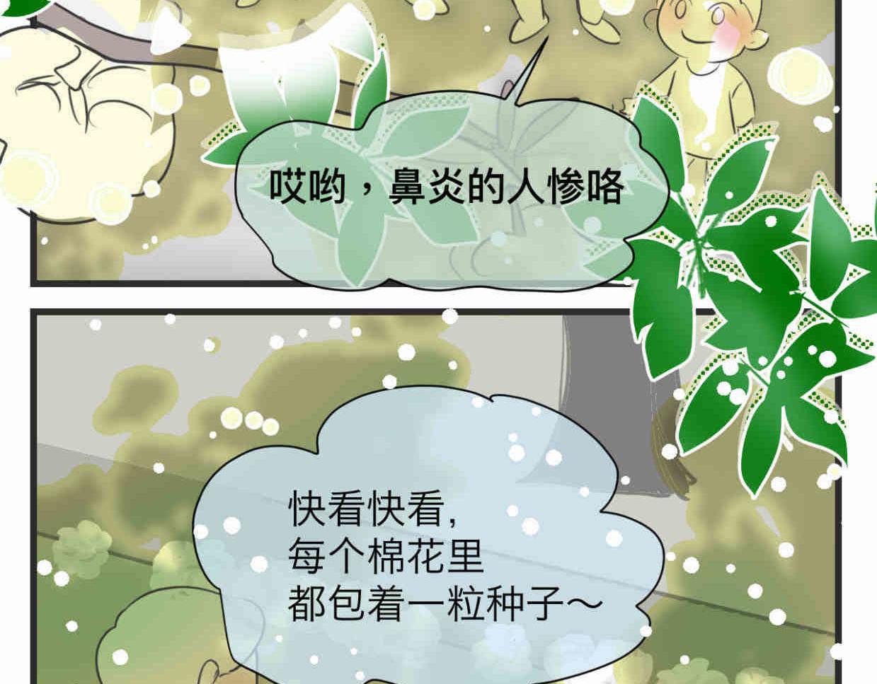 第一次做妈妈要准备什么漫画,113.木棉花的种子2图