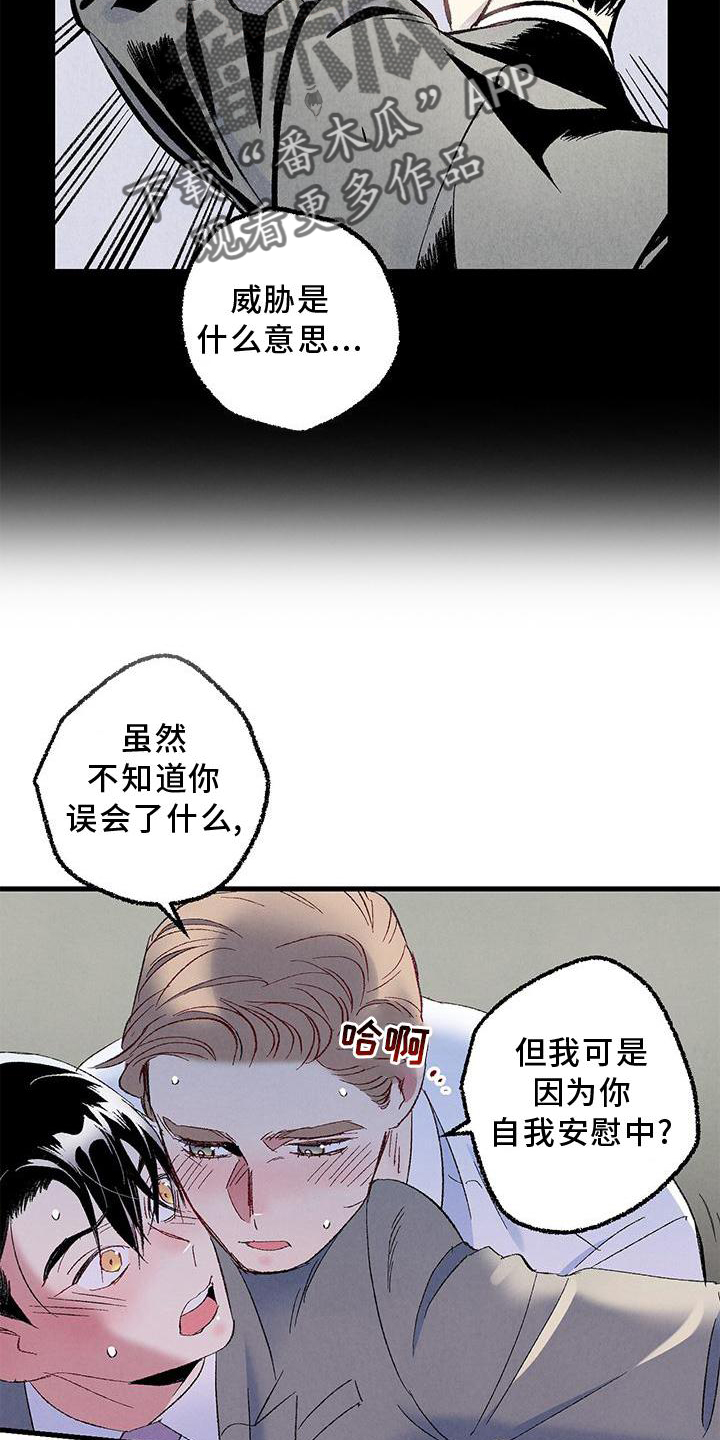 完美密友漫画讲什么漫画,第117话4图