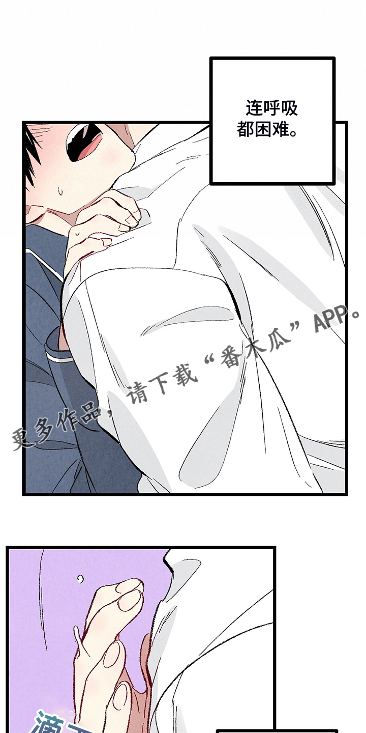 完美密友漫画讲什么漫画,第84话1图