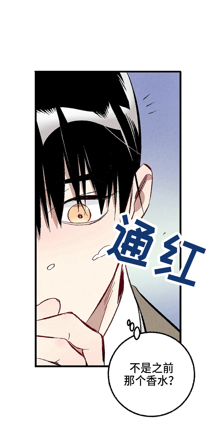 完美密友漫画免费在线观看漫画,第97话5图