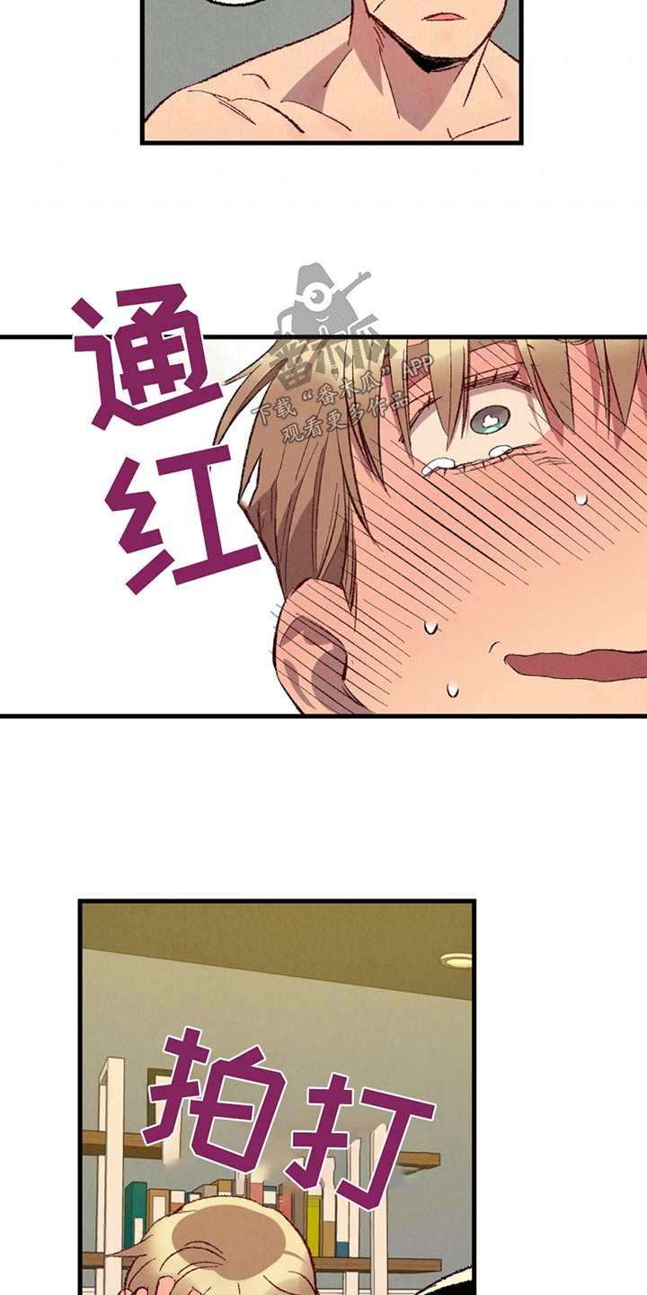 完美密友漫画讲什么漫画,第150话4图