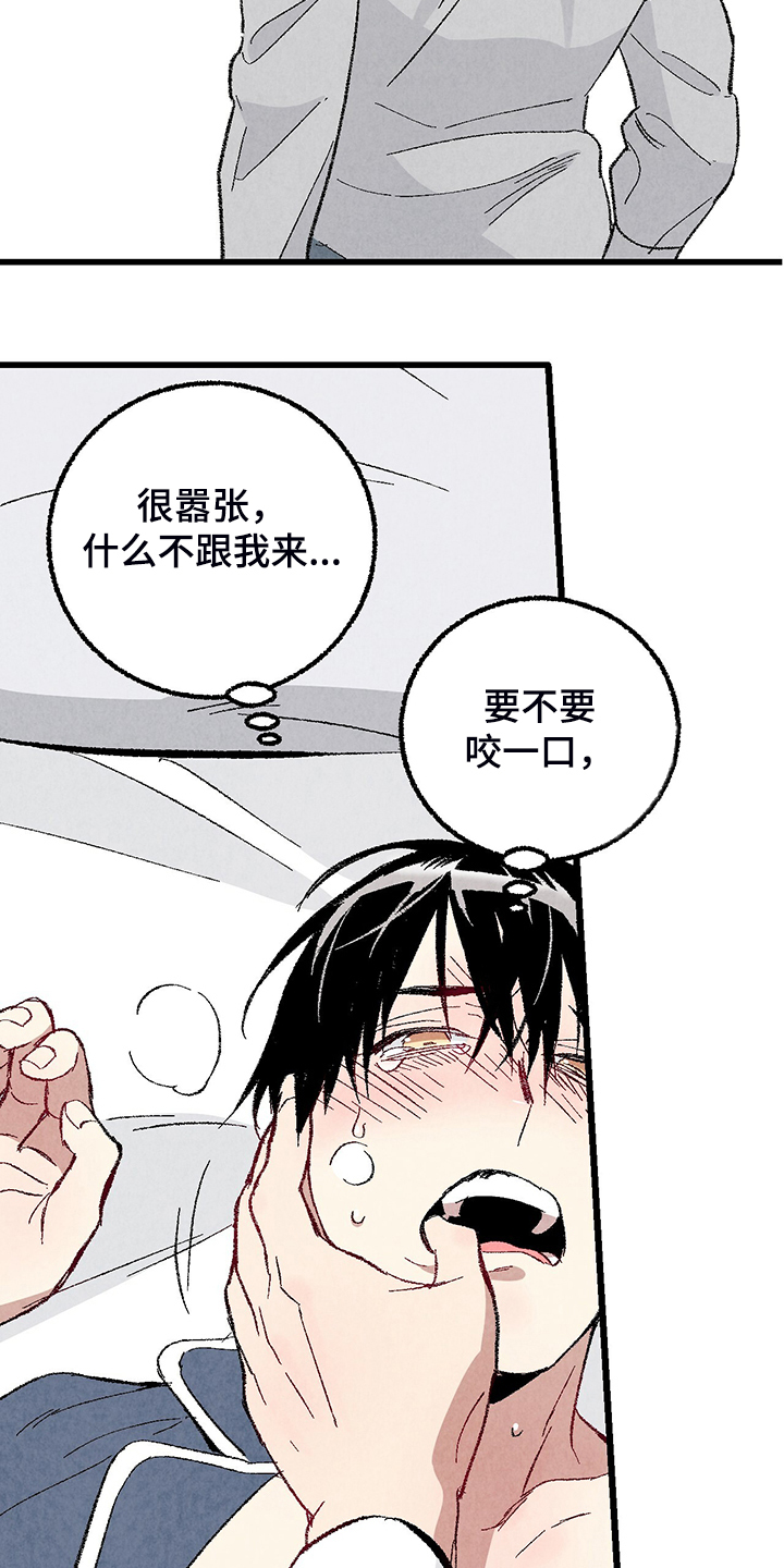 完美密友漫画讲什么漫画,第84话5图