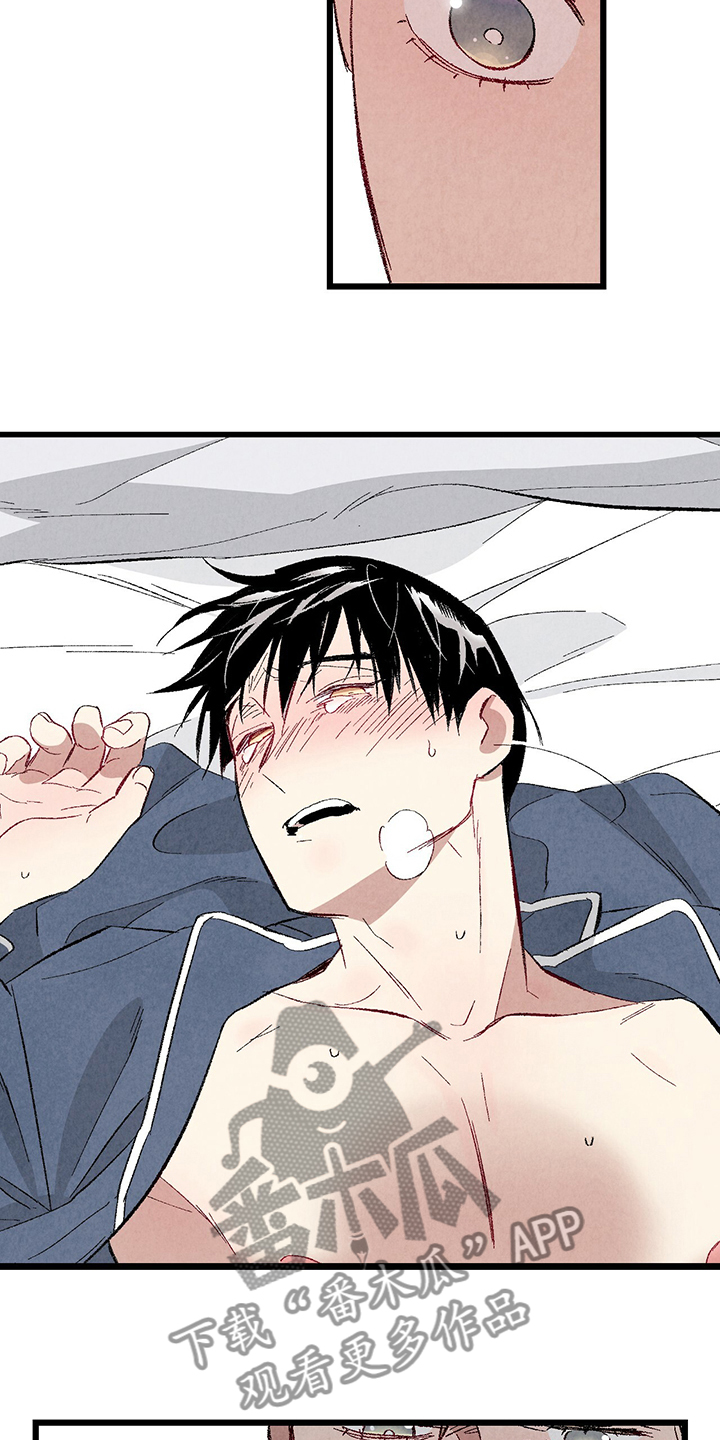 完美密友漫画讲什么漫画,第84话3图