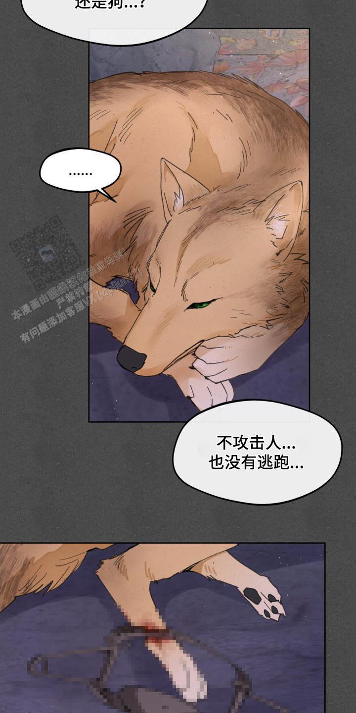 主人的私情动漫漫画,第189话5图