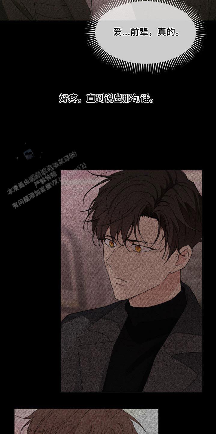 主人的私情完结了吗漫画,第199话4图