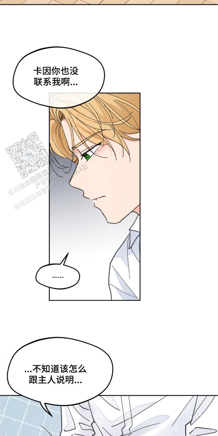 主人的任务是什么意思漫画,第179话4图
