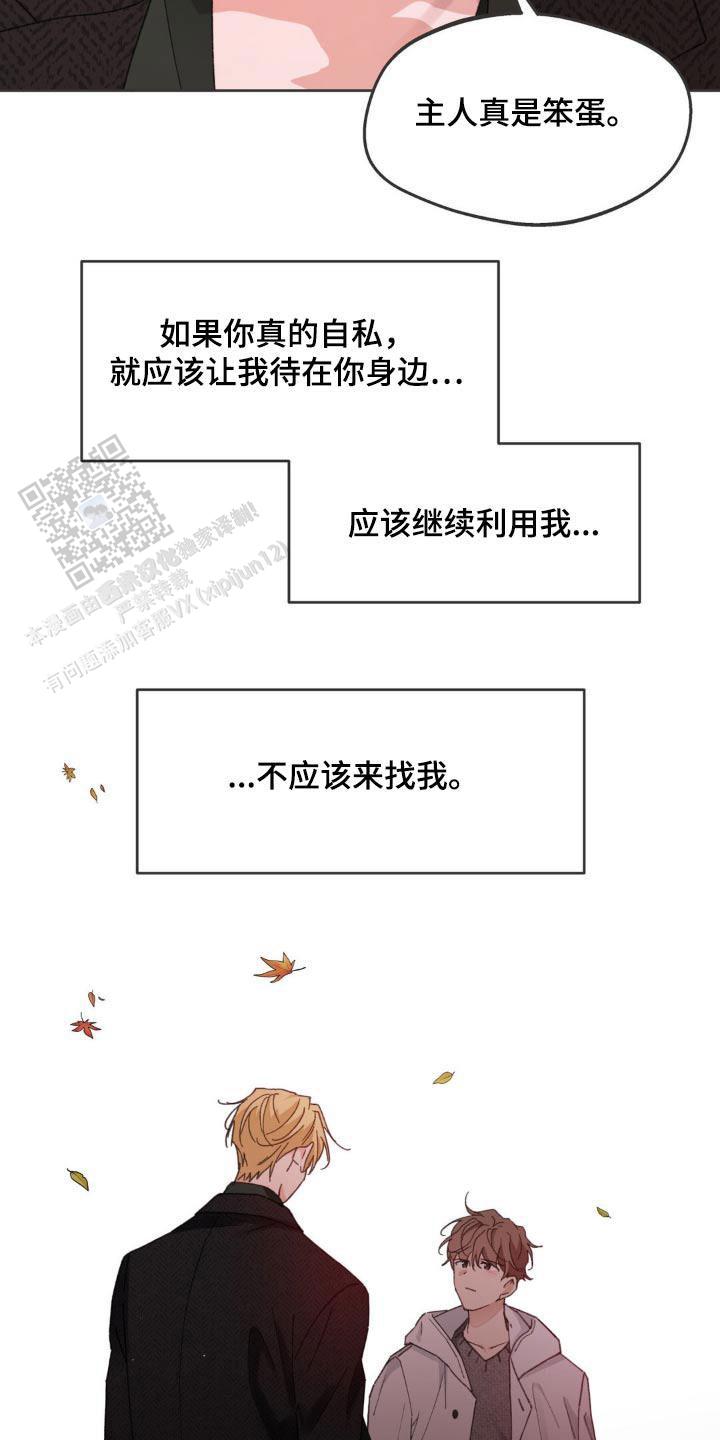 主人的私情讲什么漫画,第204话3图