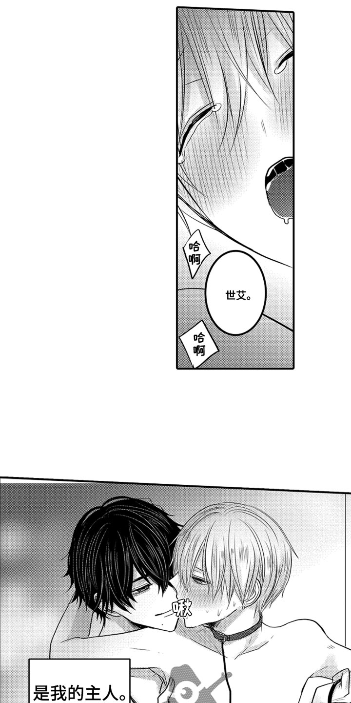 心跳信息素免费完整版漫画,第100话5图