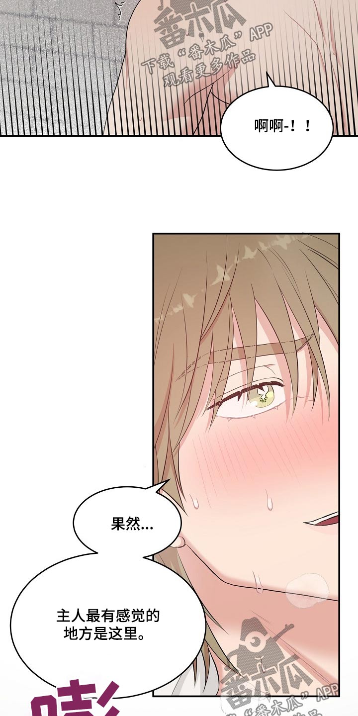机器生活在线观看完整版免费高清漫画,第76话4图