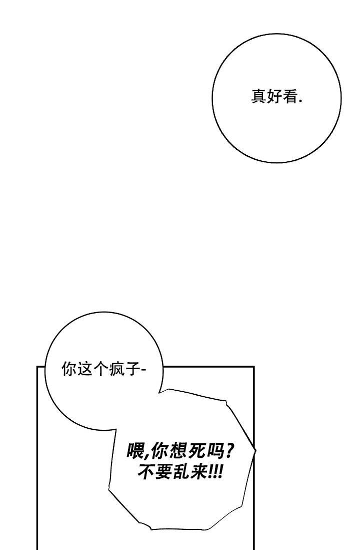 kiss my ass什么意思漫画,第105话3图