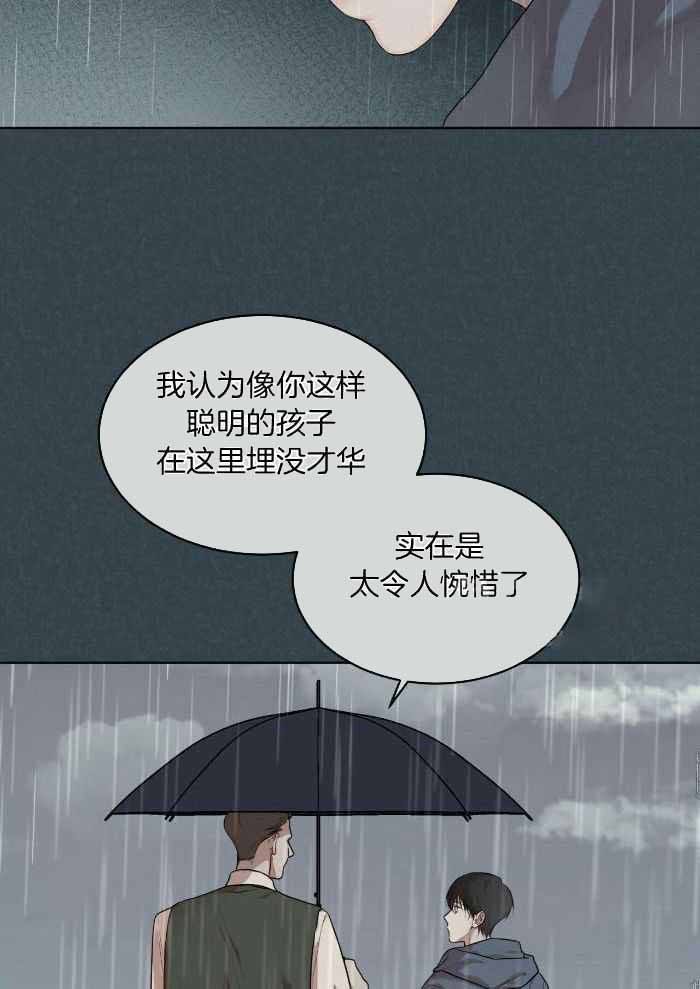 物种起源儿童版领读稿一分半钟漫画,第101话5图