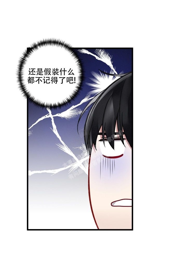 不起眼向导的平凡日常免费阅读漫画,第91话1图