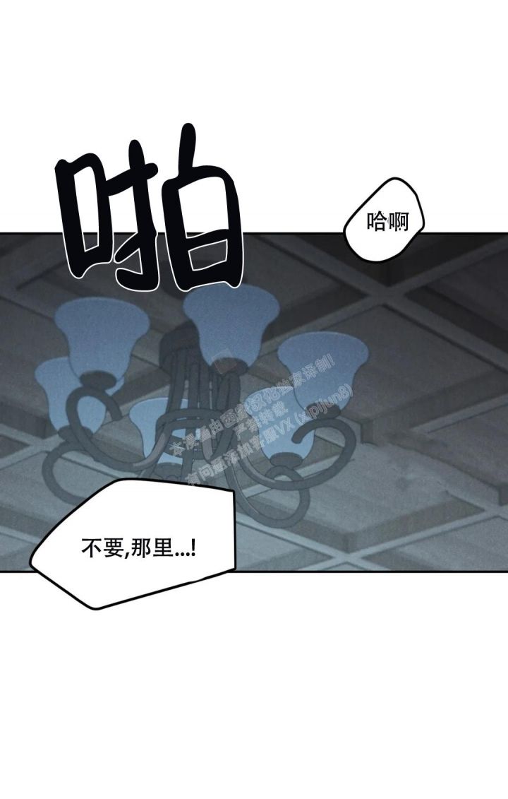 限量9999碎钞玫瑰花漫画,第59话1图