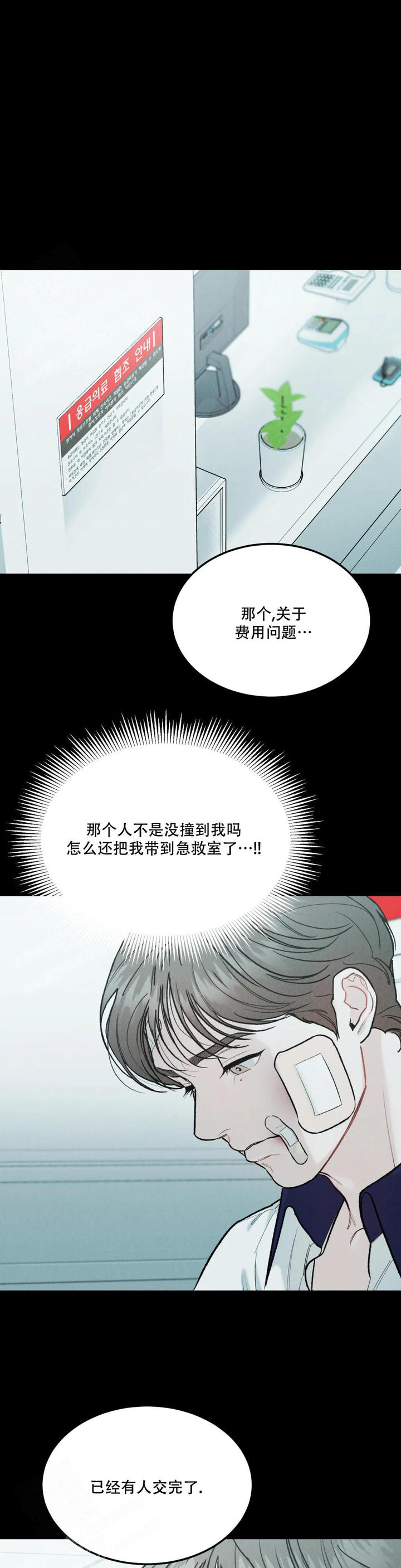 限量发行孔雀羽毛艺术项链图片漫画,第74话1图