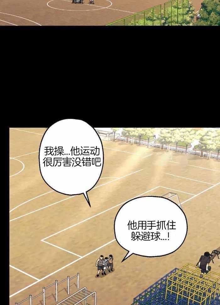 当杀手坠入爱河简介漫画,第79话3图