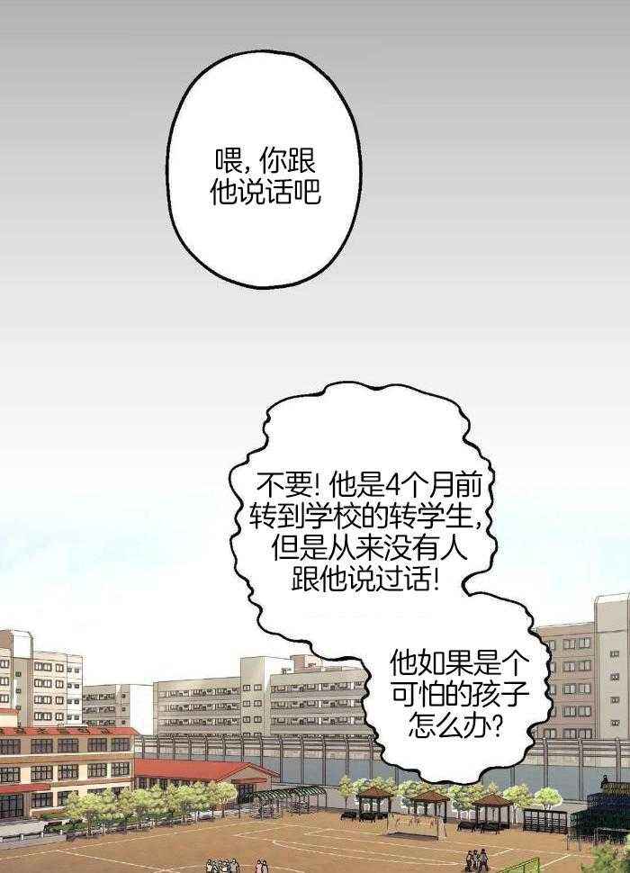 当杀手坠入爱河简介漫画,第79话2图