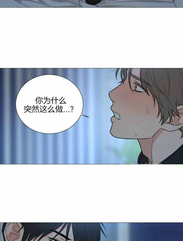 囚笼之爱漫画免费版漫画,第72话5图