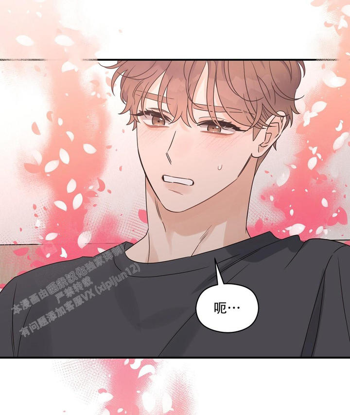 欧米伽情结是谁漫画,第78话2图