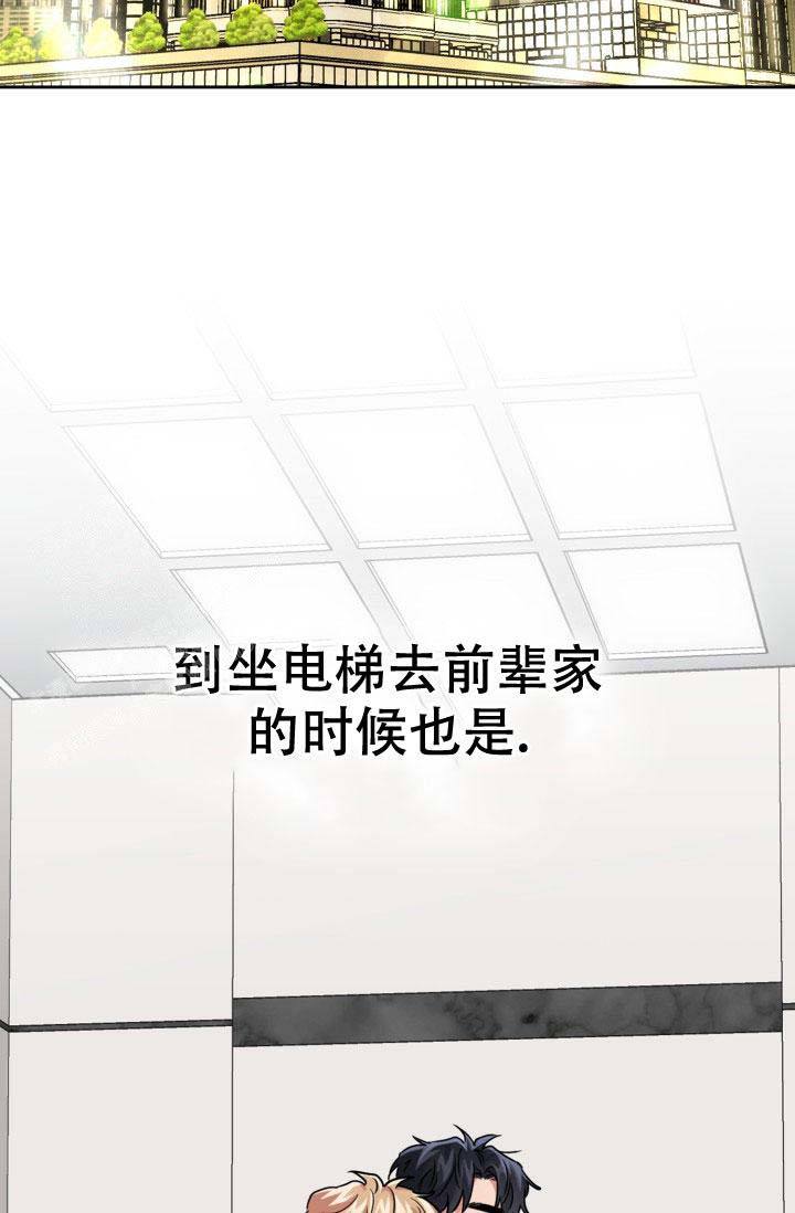 诱饵站安装标准规范漫画,第58话2图