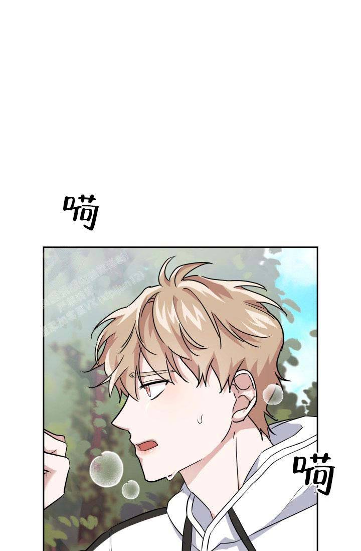 诱饵 电视剧漫画,第39话5图
