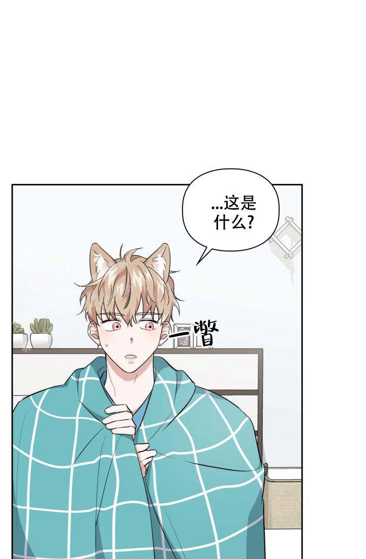 诱饵2023豆瓣漫画,第37话3图