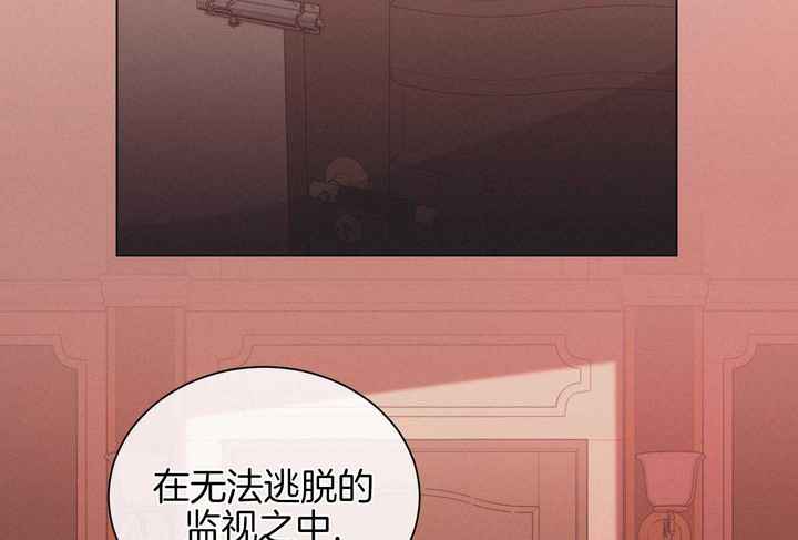 危险关系张嘉译版结局漫画,第97话5图
