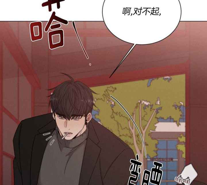 危险关系电影完整版免费晨光影院漫画,第81话4图