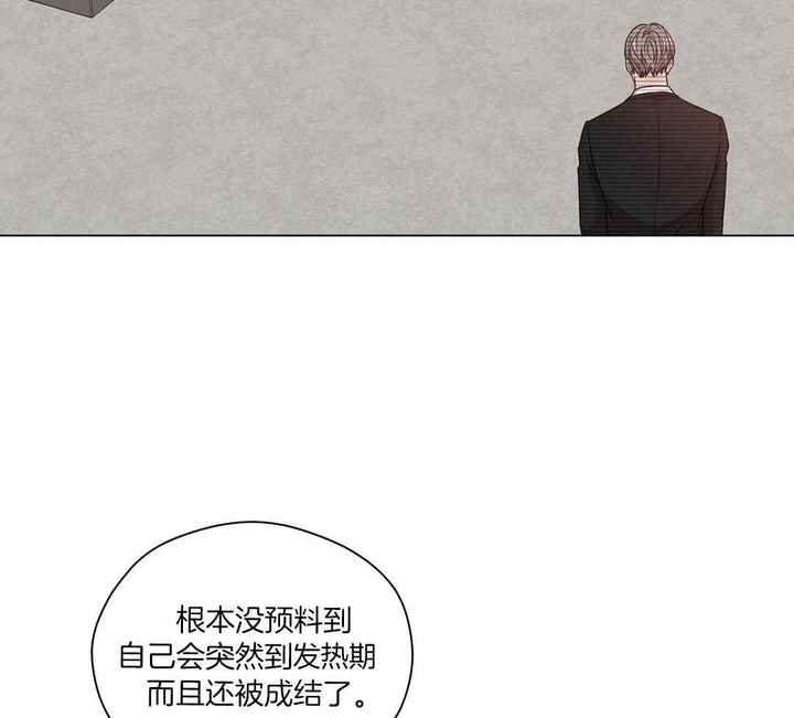 危险关系在线观看免费完整版漫画,第76话4图