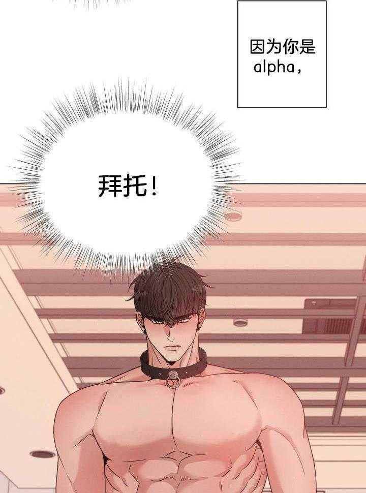 危险关系张嘉译版结局漫画,第39话4图