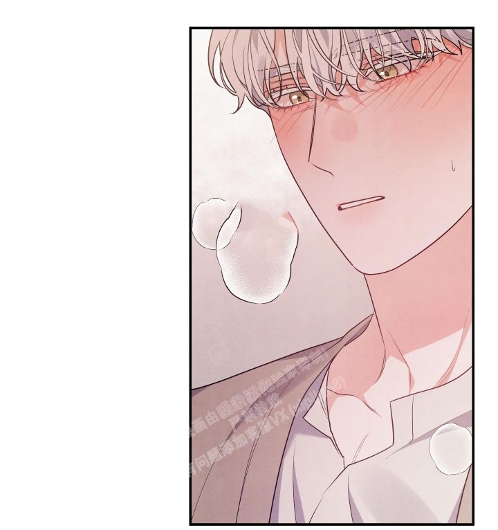 狗狗的可爱视频漫画,第30话3图