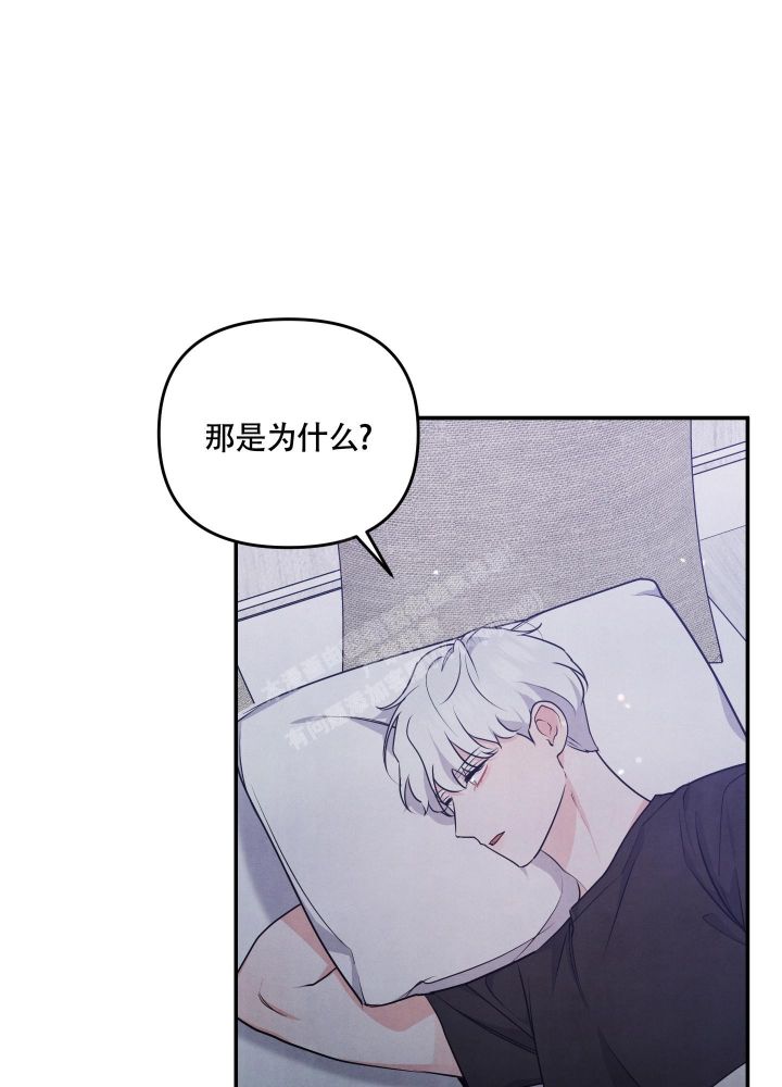 狗狗的语言漫画,第33话3图
