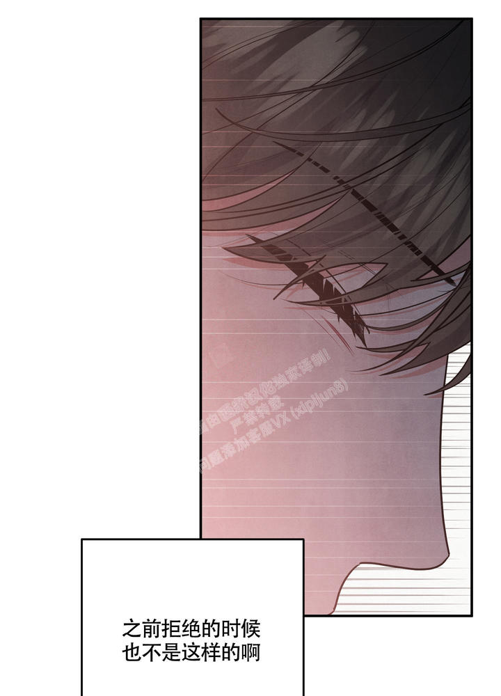 狗狗的发情期是什么时候漫画,第40话4图