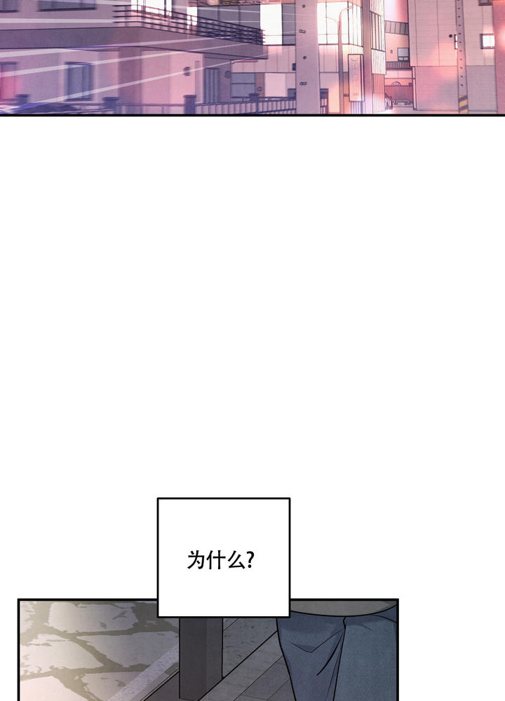 狗狗的发情期是什么时候漫画,第40话2图