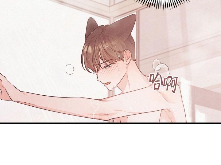 狗狗的年龄对照表漫画,第26话5图