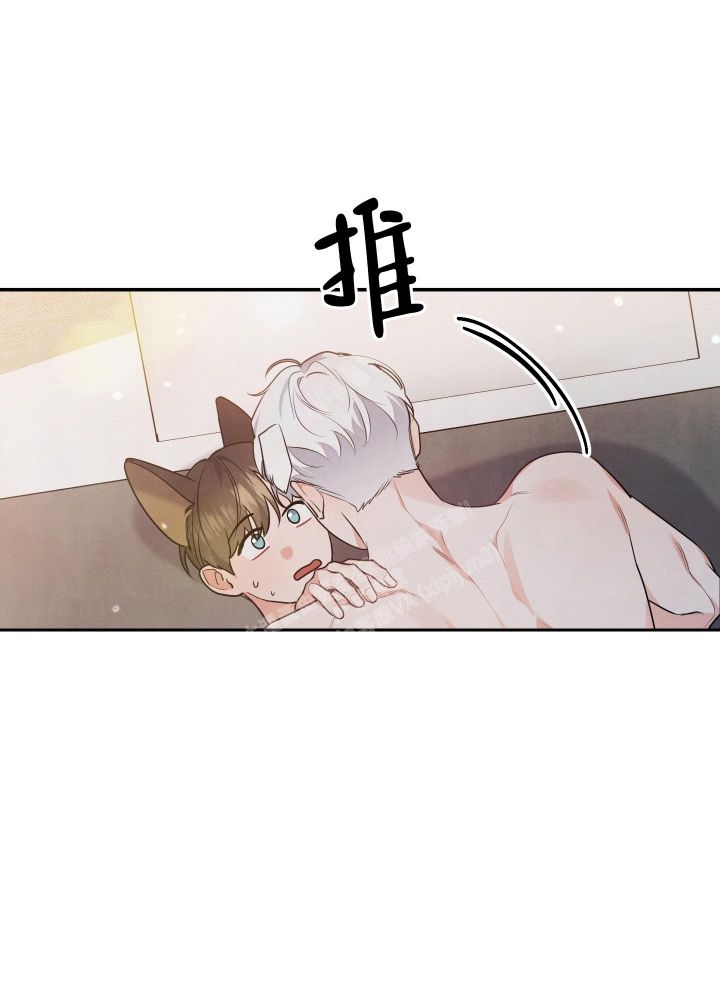 狗狗的陪伴最暖心一段话漫画,第32话4图