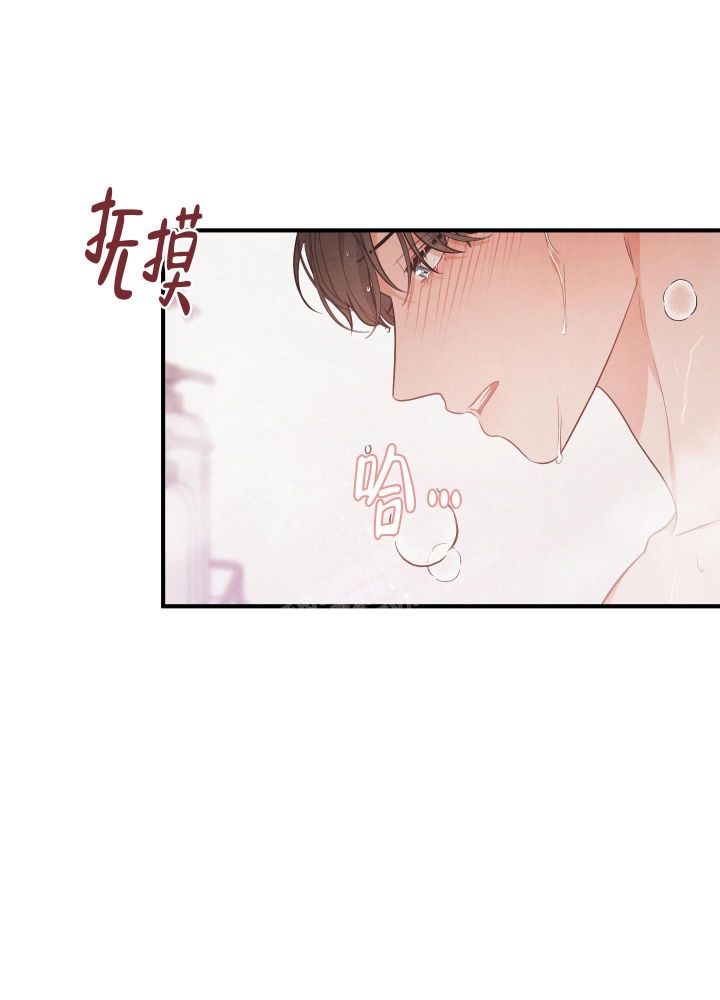 狗狗的年龄对照表漫画,第26话3图