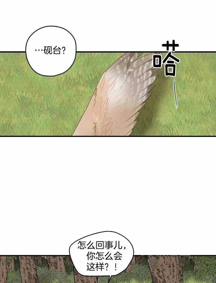 铺满金钟花的路未删减漫画,第41话5图