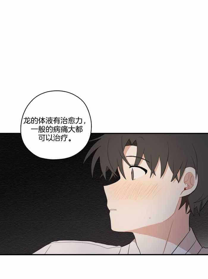 铺满金钟花的路在哪里看漫画,第43话2图