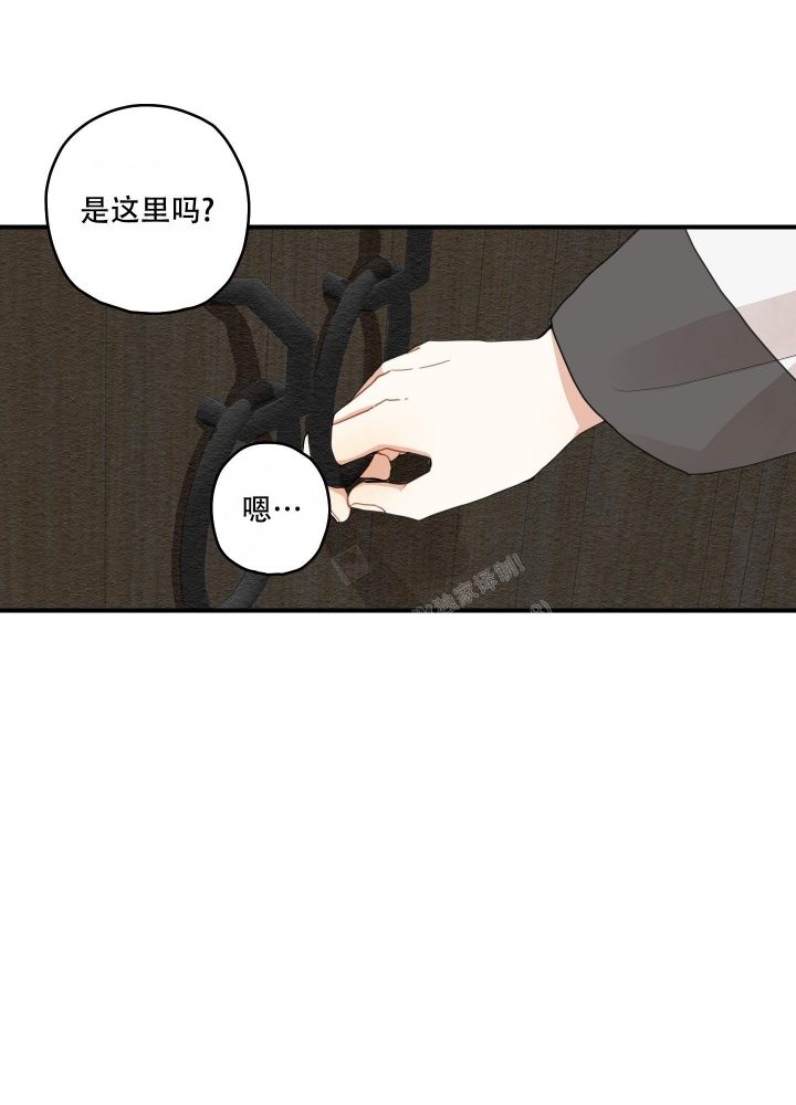 铺满金钟花的路未删减漫画,第20话5图