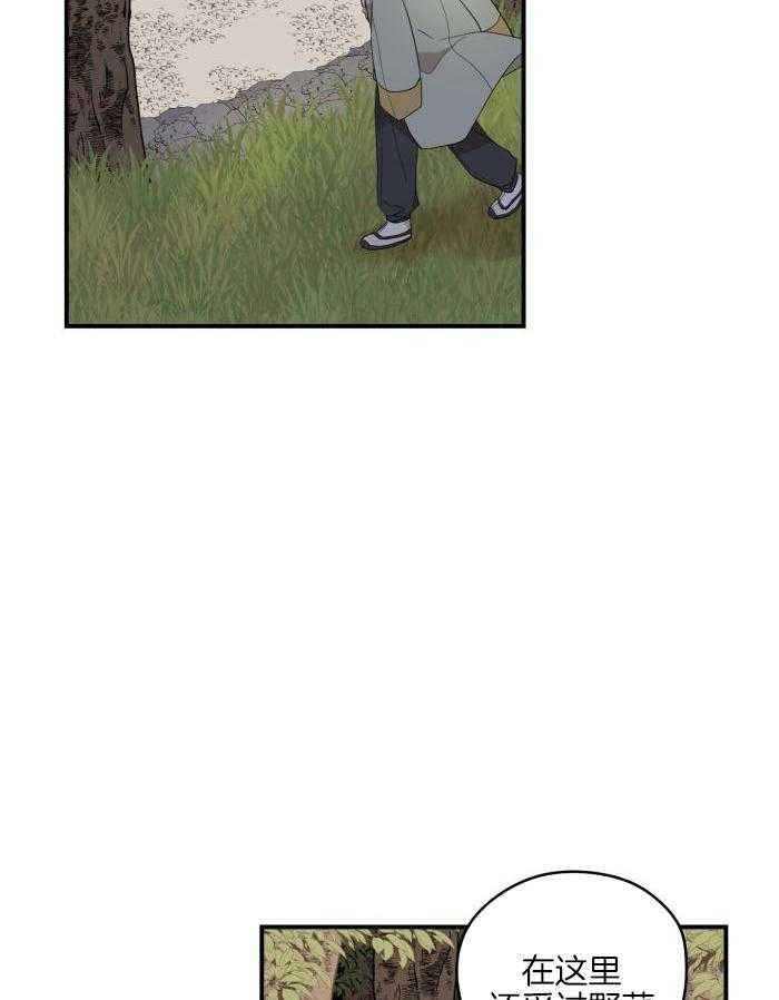 铺满黄金的小路漫画,第49话5图