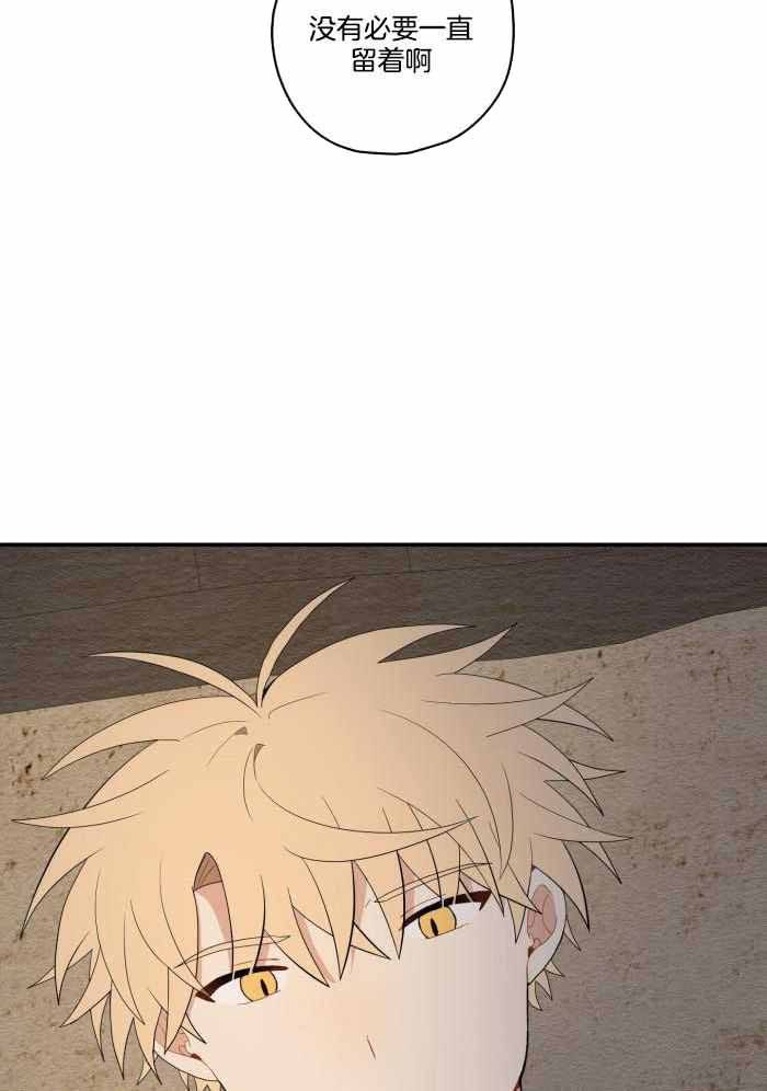 铺满金钟花的路作者是谁漫画,第42话3图