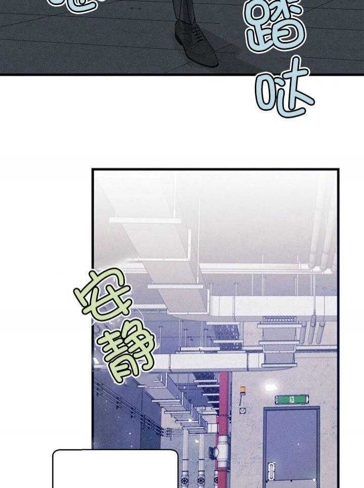 代号破晓暗星迷雾怎么过漫画,第59话3图