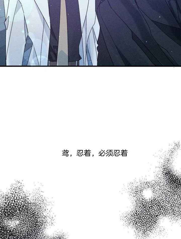 代号:迷雾漫画免费阅读漫画,第77话3图