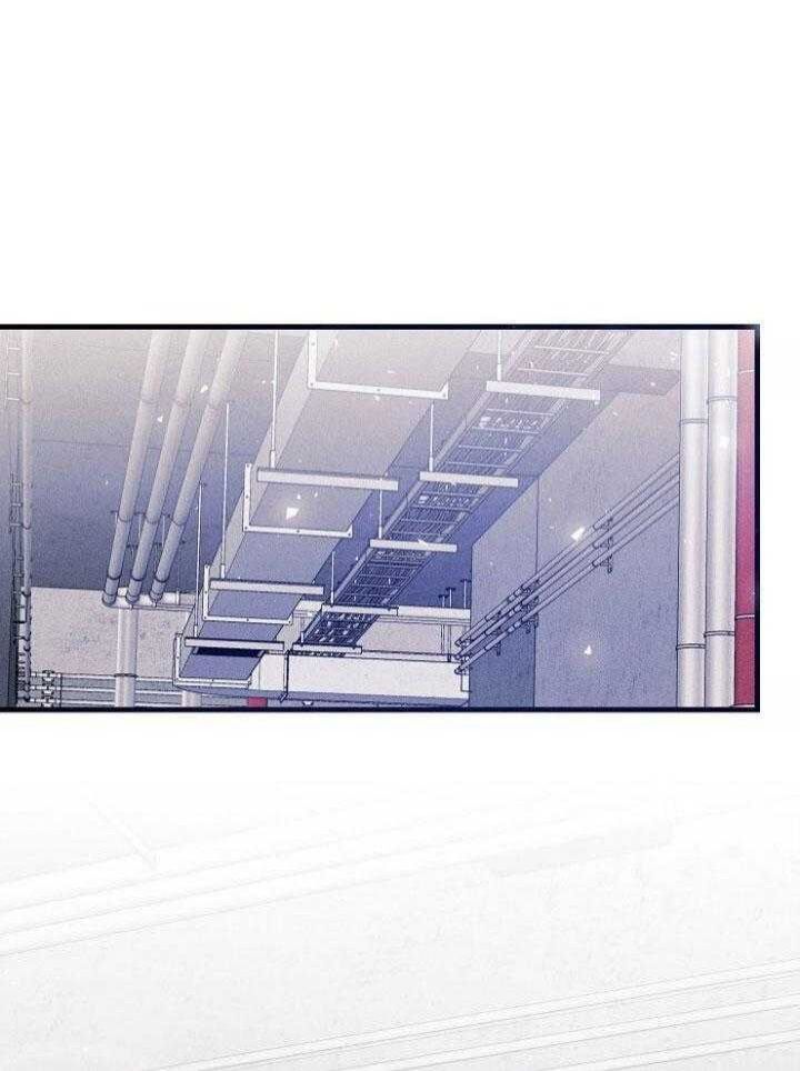 代号破晓暗星迷雾怎么过漫画,第59话1图