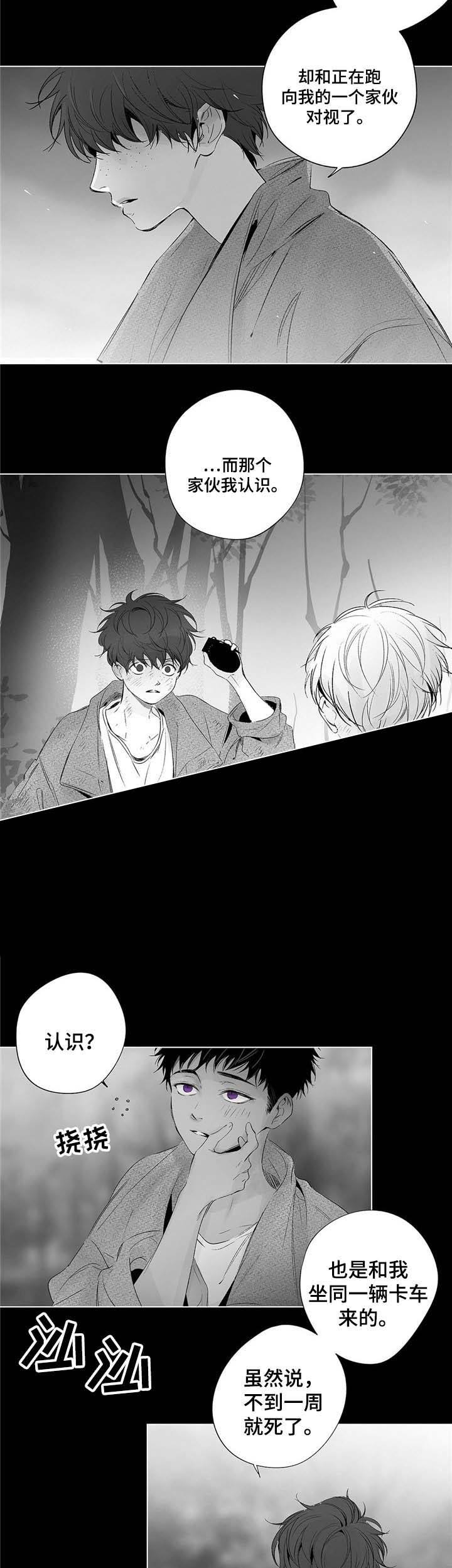 蜜月的阴谋全部演员介绍漫画,第54话4图